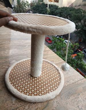 Cat Tree and Scratch Pad - thumbnail 2