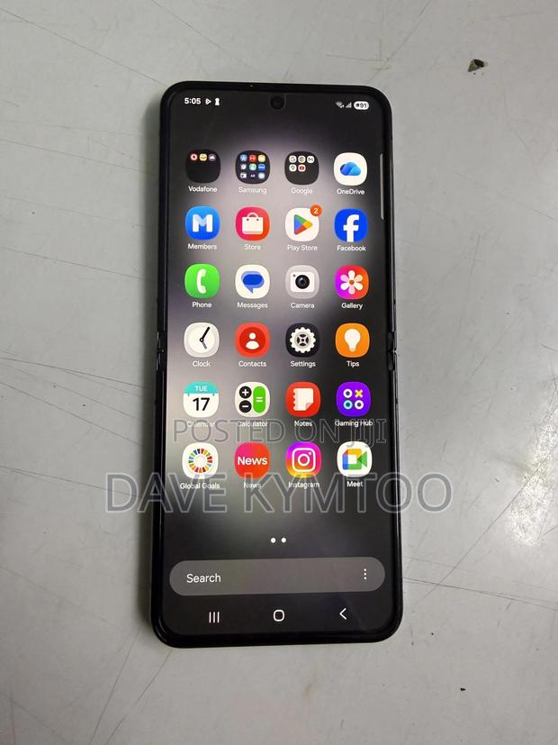 Samsung Galaxy Z Flip 5 256 GB Gray - main view