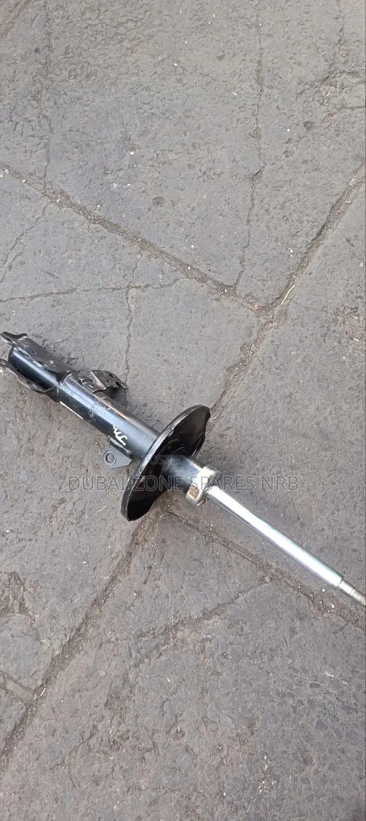 Shocks Wish,Allion,Premio 260.