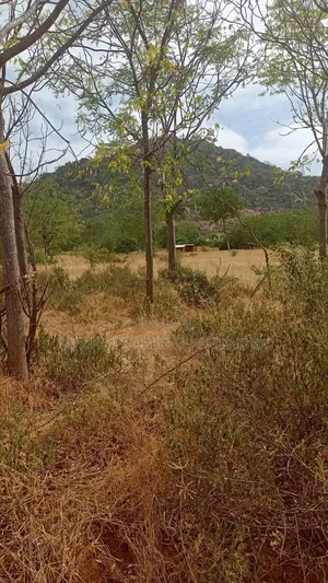 Kitui- Mutomo 50 Acres for Sale