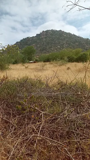 Kitui- Mutomo 50 Acres for Sale