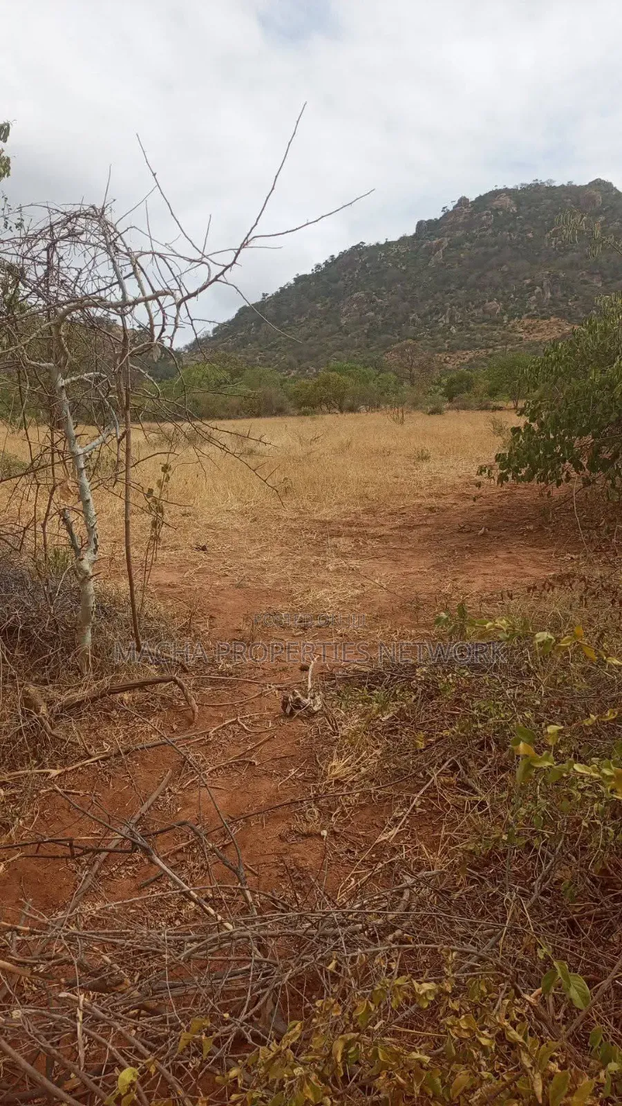 Kitui- Mutomo 50 Acres for Sale