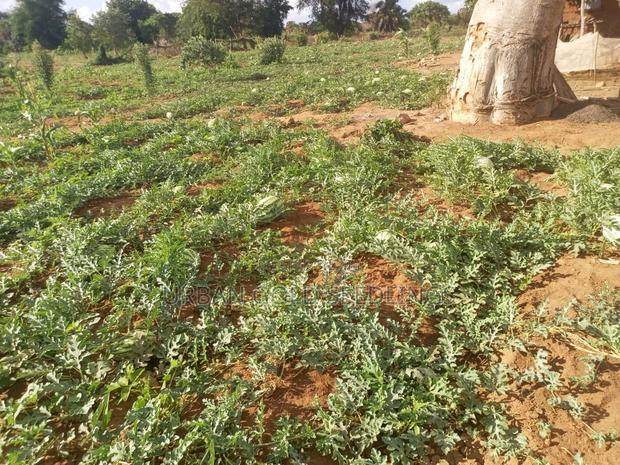 Prime Kitui Land ! Next To Thua River. - thumbnail 2