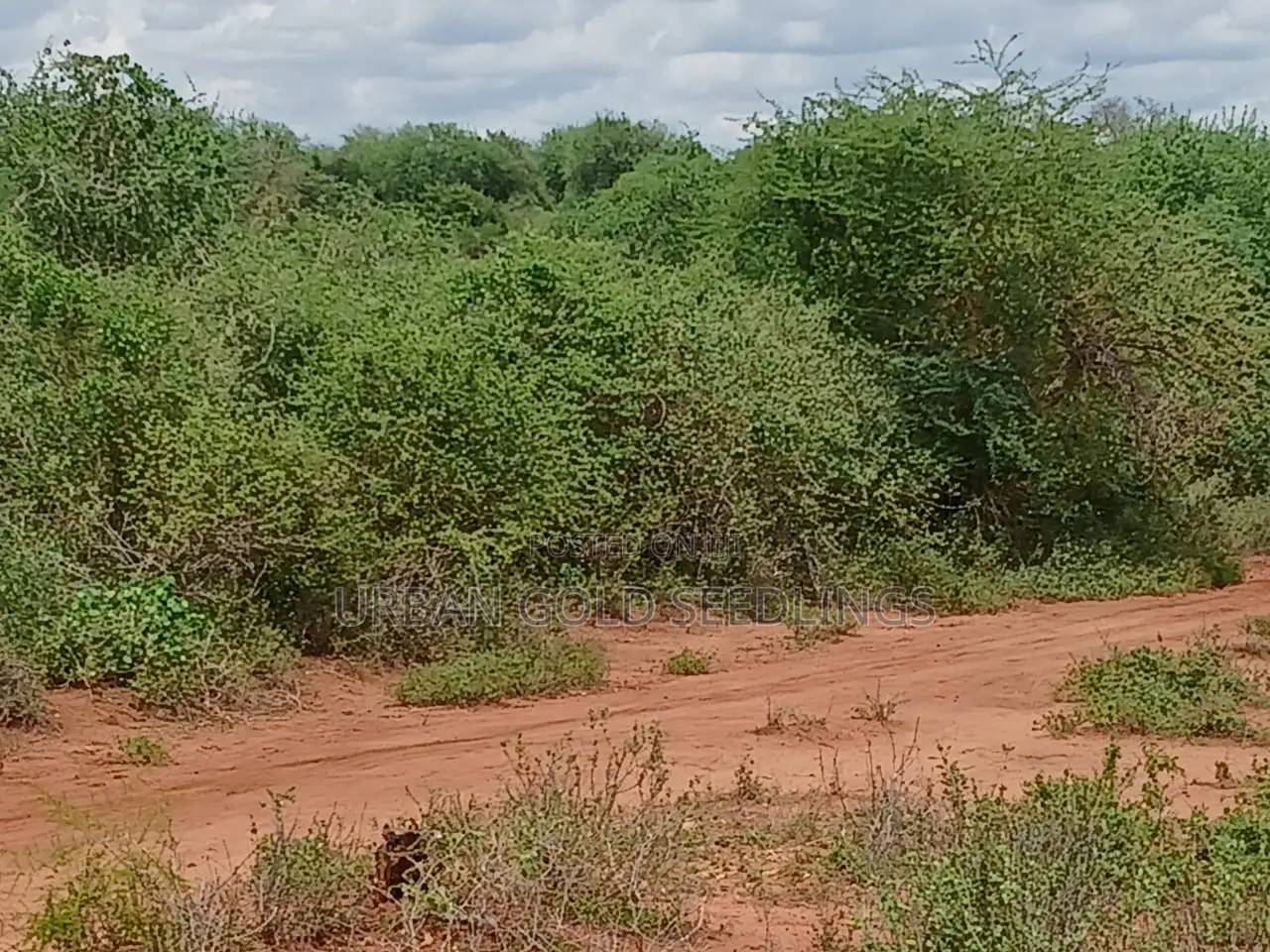 Prime Kitui Land ! Next To Thua River.