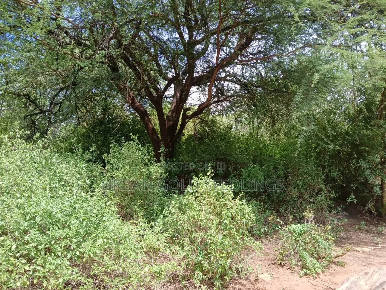 Prime Kitui Land ! Next To Thua River.