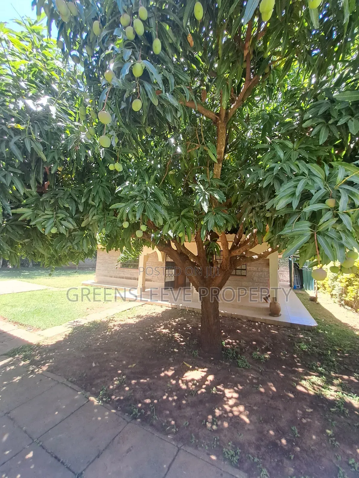 3bdrm House in Karen  Hardly for rent
