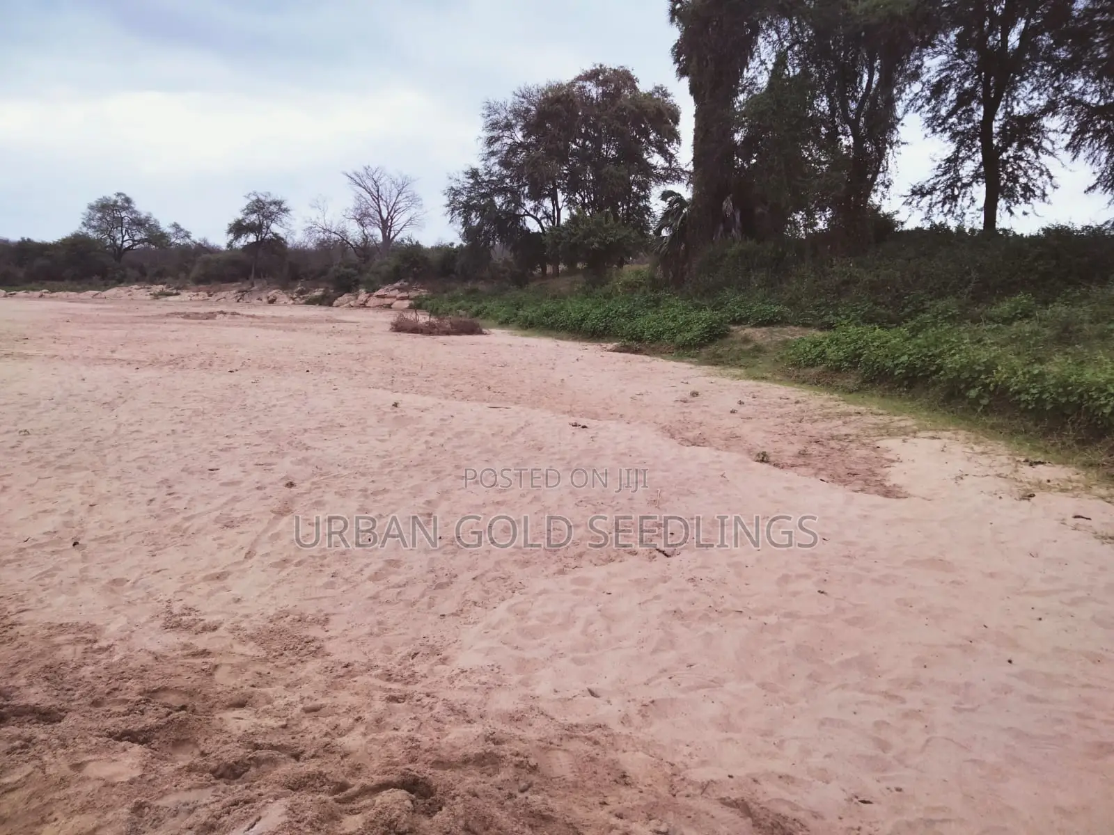 Prime Kitui Land ! Next To Thua River.