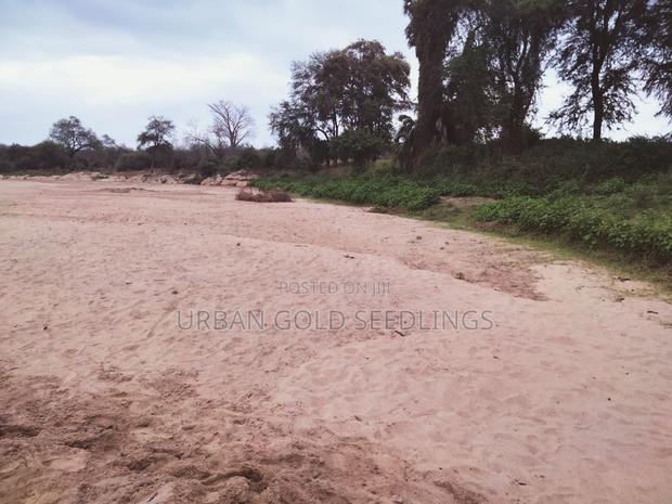Prime Kitui Land ! Next To Thua River. - thumbnail 8