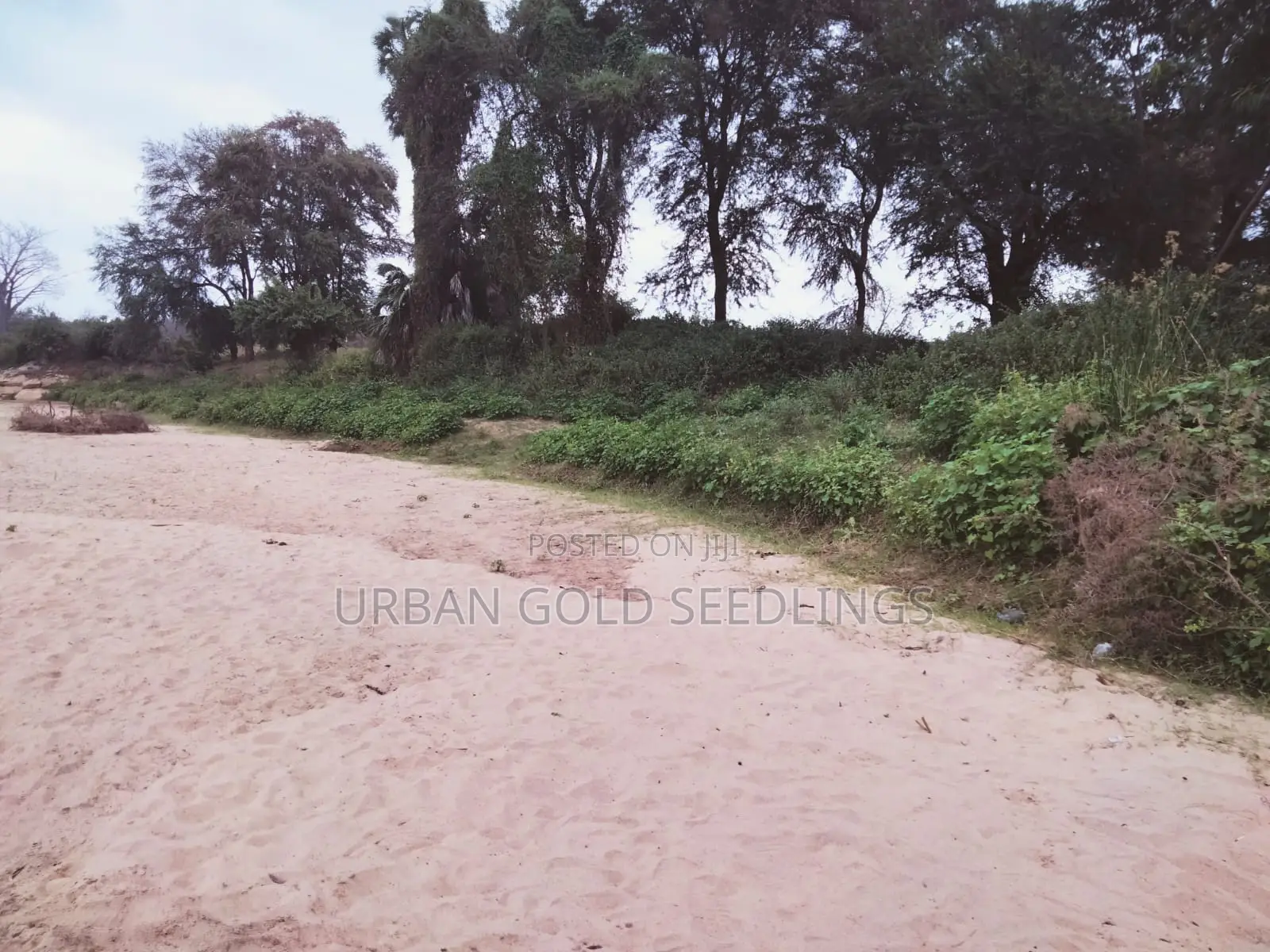 Prime Kitui Land ! Next To Thua River.