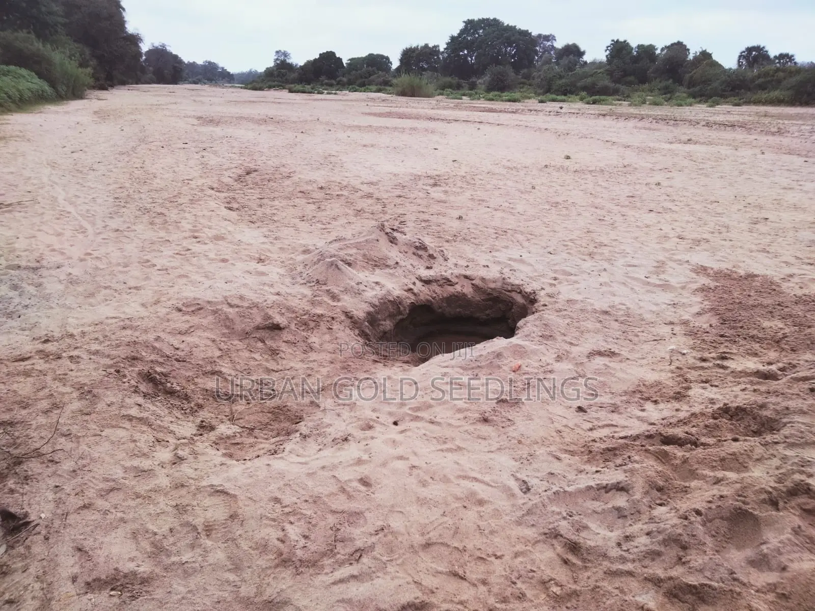 Prime Kitui Land ! Next To Thua River.