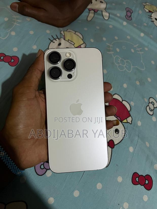 Apple iPhone 15 Pro Max 256 GB Silver - main view