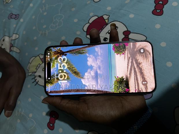 Apple iPhone 15 Pro Max 256 GB Silver - thumbnail 2