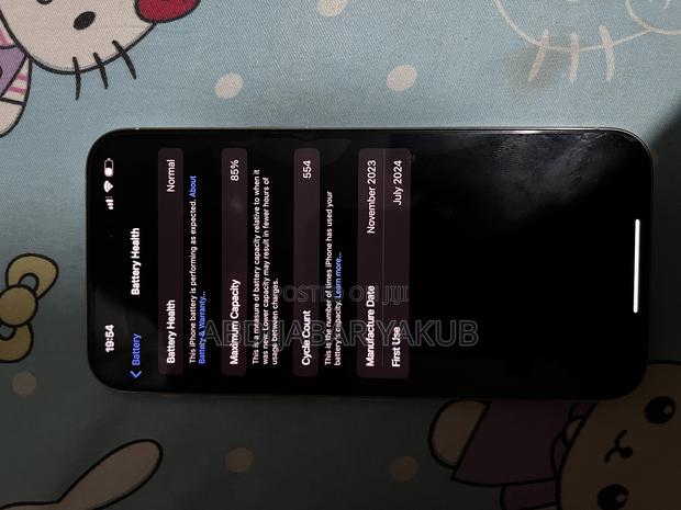 Apple iPhone 15 Pro Max 256 GB Silver - thumbnail 4