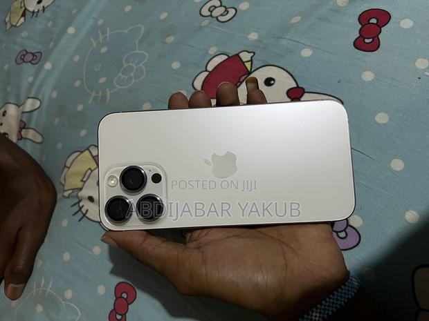 Apple iPhone 15 Pro Max 256 GB Silver - thumbnail 3