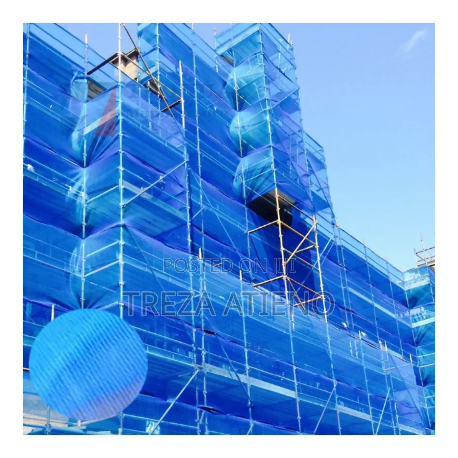 Scaffold Nets