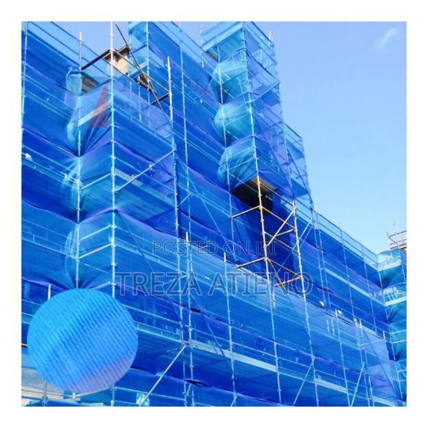 Scaffold Nets