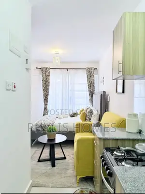 Excutive Style Airbnb in South B