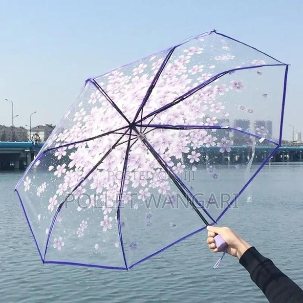 Clear Umbrellas( Both Foldable and Not Foldable) - main view