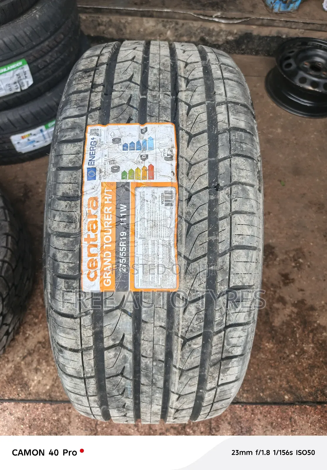 275/55/R19 Grand Tourer