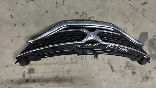 Mark X 2015 Grill