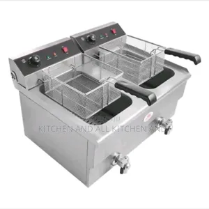 Imported Double Fryer