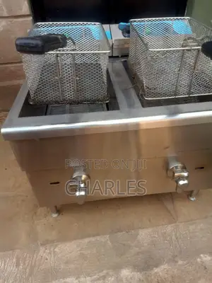 Gas and Electric Deep Fryer