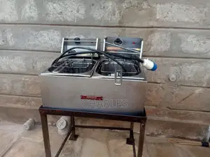 Gas and Electric Deep Fryer