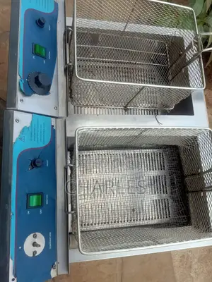 Gas and Electric Deep Fryer
