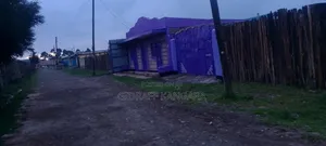 3 Plots 50 by 100 With Masons With Ready Title Deed