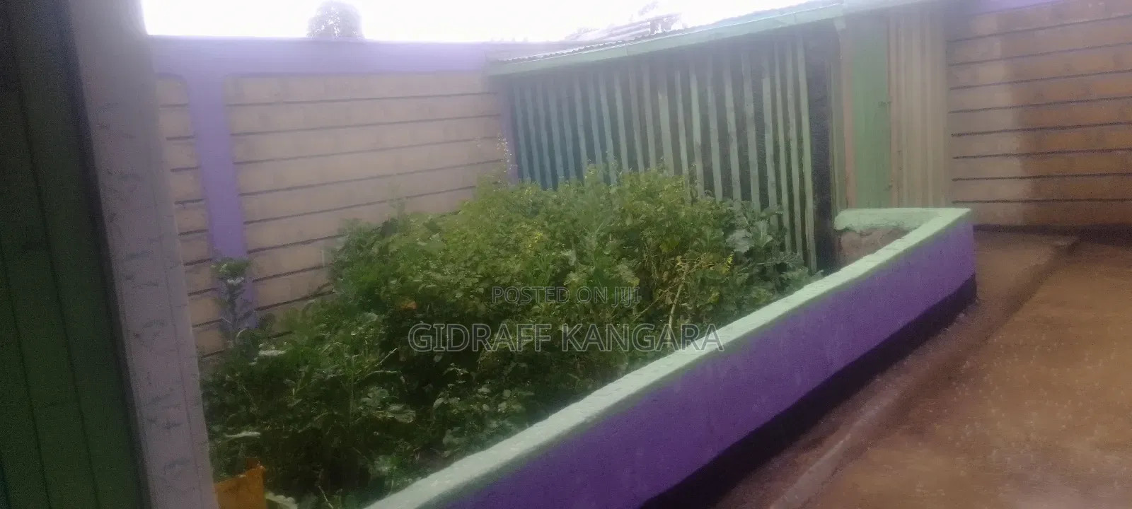 3 Plots 50 by 100 With Masons With Ready Title Deed