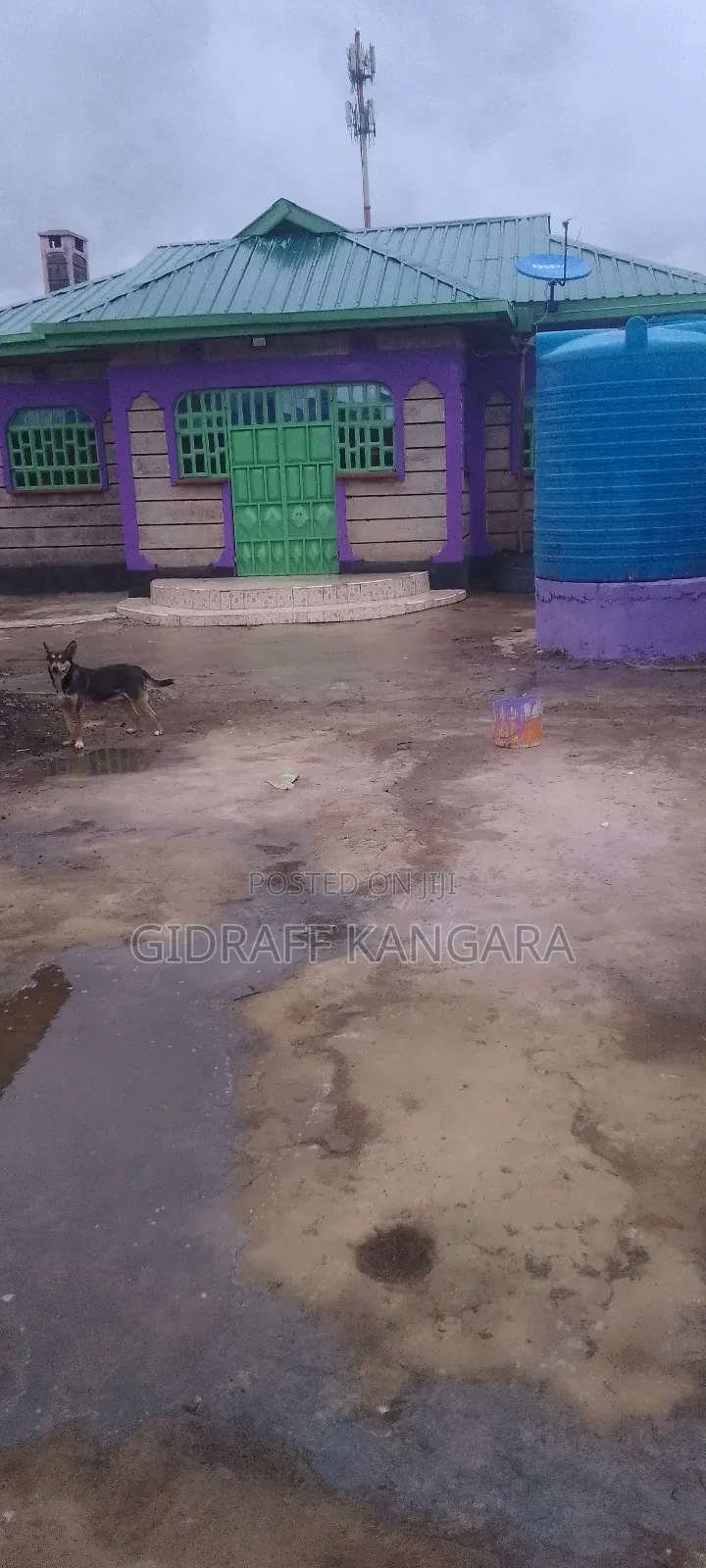 3 Plots 50 by 100 With Masons With Ready Title Deed