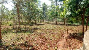 Kenol Makuyu Agricultural/Industrial Land - thumbnail 2
