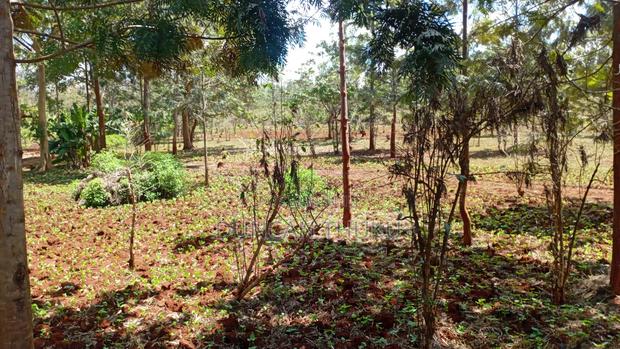 Kenol Makuyu Agricultural/Industrial Land - thumbnail 2