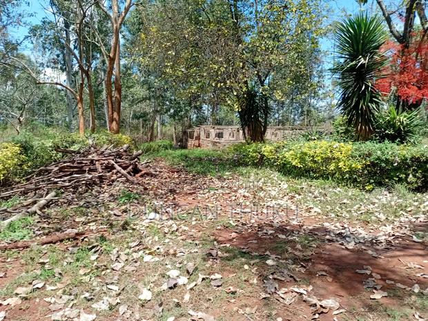 Kenol Makuyu Agricultural/Industrial Land - thumbnail 4