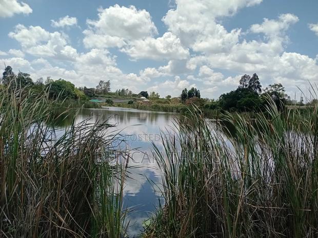 Kenol Makuyu Agricultural/Industrial Land - thumbnail 7