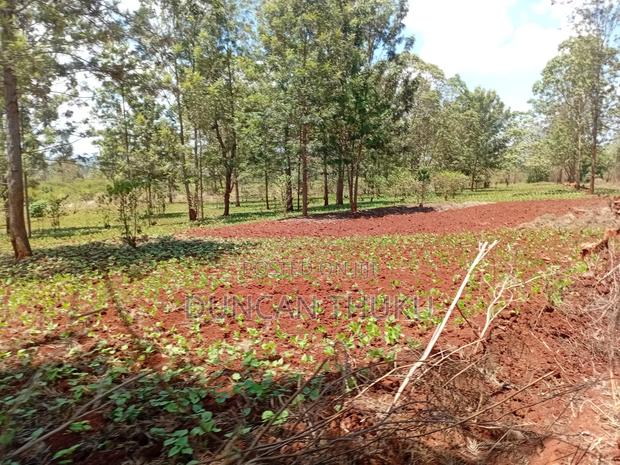 Kenol Makuyu Agricultural/Industrial Land - thumbnail 9