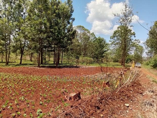 Kenol Makuyu Agricultural/Industrial Land - thumbnail 10