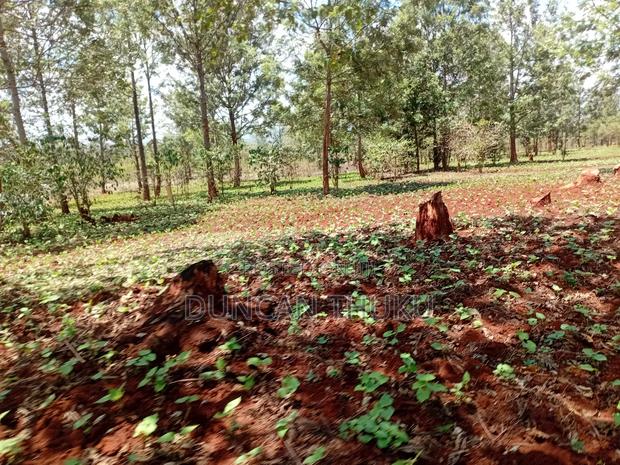 Kenol Makuyu Agricultural/Industrial Land - thumbnail 11