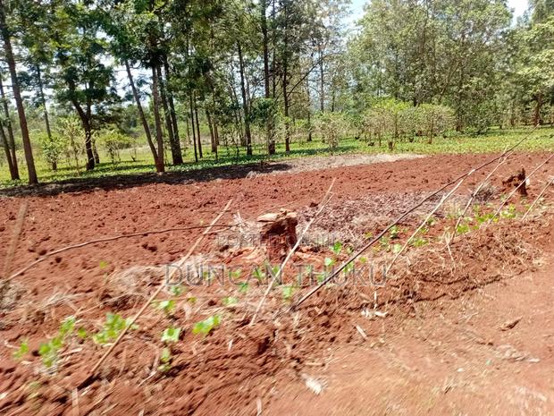 Kenol Makuyu Agricultural/Industrial Land - thumbnail 12