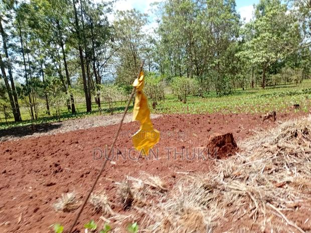 Kenol Makuyu Agricultural/Industrial Land - thumbnail 13