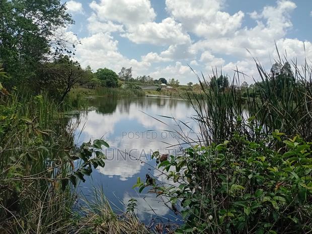 Kenol Makuyu Agricultural/Industrial Land - thumbnail 14