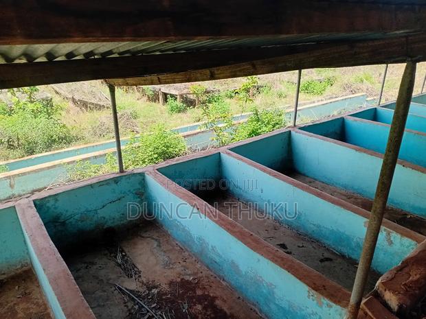 Kenol Makuyu Agricultural/Industrial Land - thumbnail 16