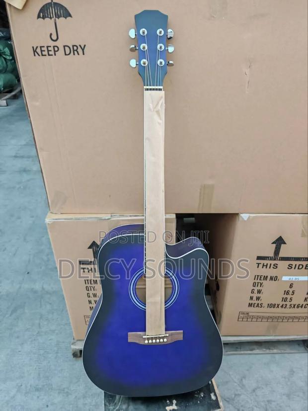 Semi Acoustic Guitar - main view