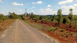 Kenol Makuyu - thumbnail 2