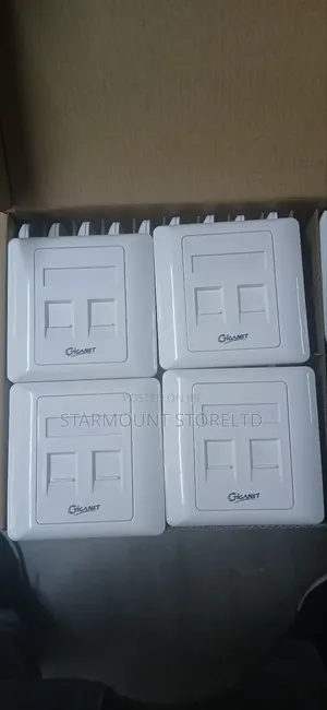 Giganet 2-Port Keystone Faceplate