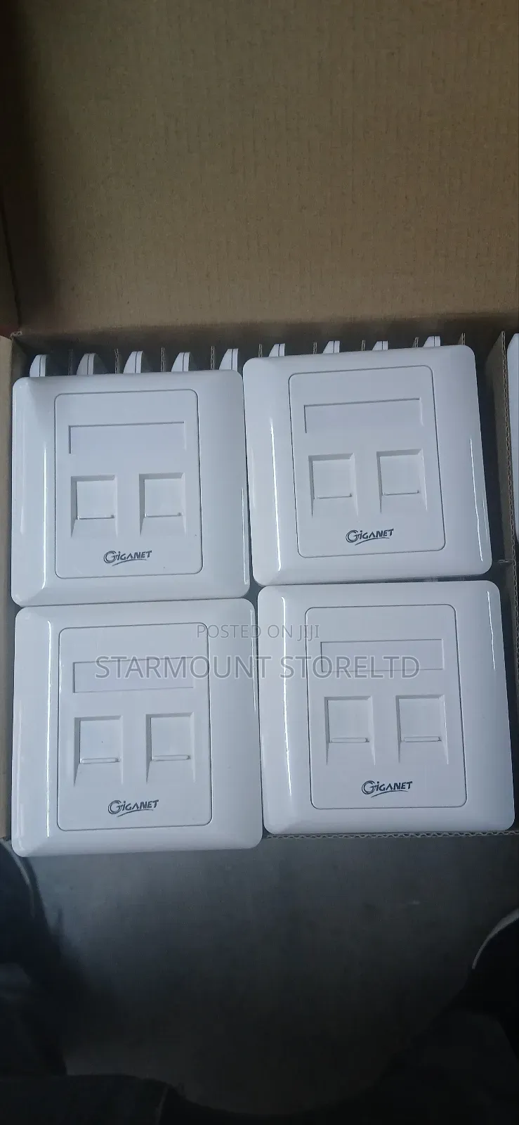 Giganet 2-Port Keystone Faceplate