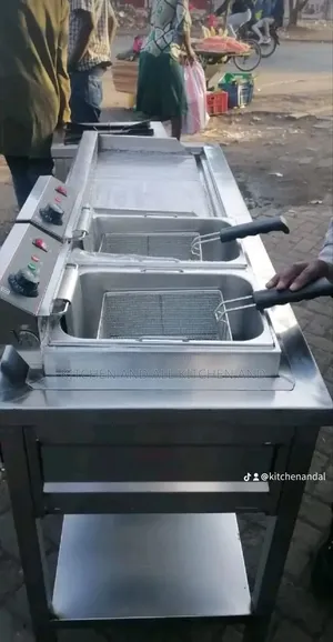 Imported Electric Fryers and Hot Plate Combined
