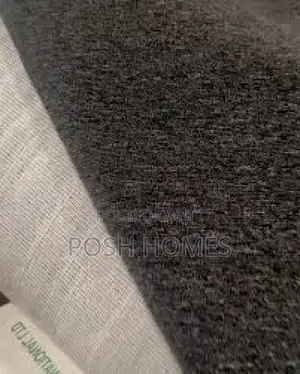 Soft Surface Quality Wall to Wall Carpet