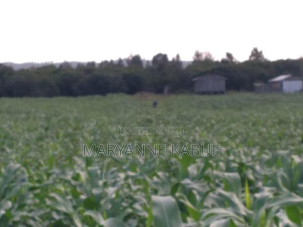 14 Acres Agriculture Land for Sale