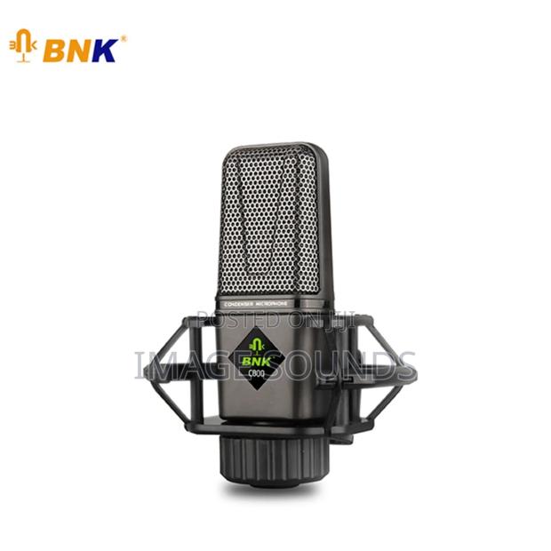 BNK Professional XLR Condenser Studio Microphone C800 - main view